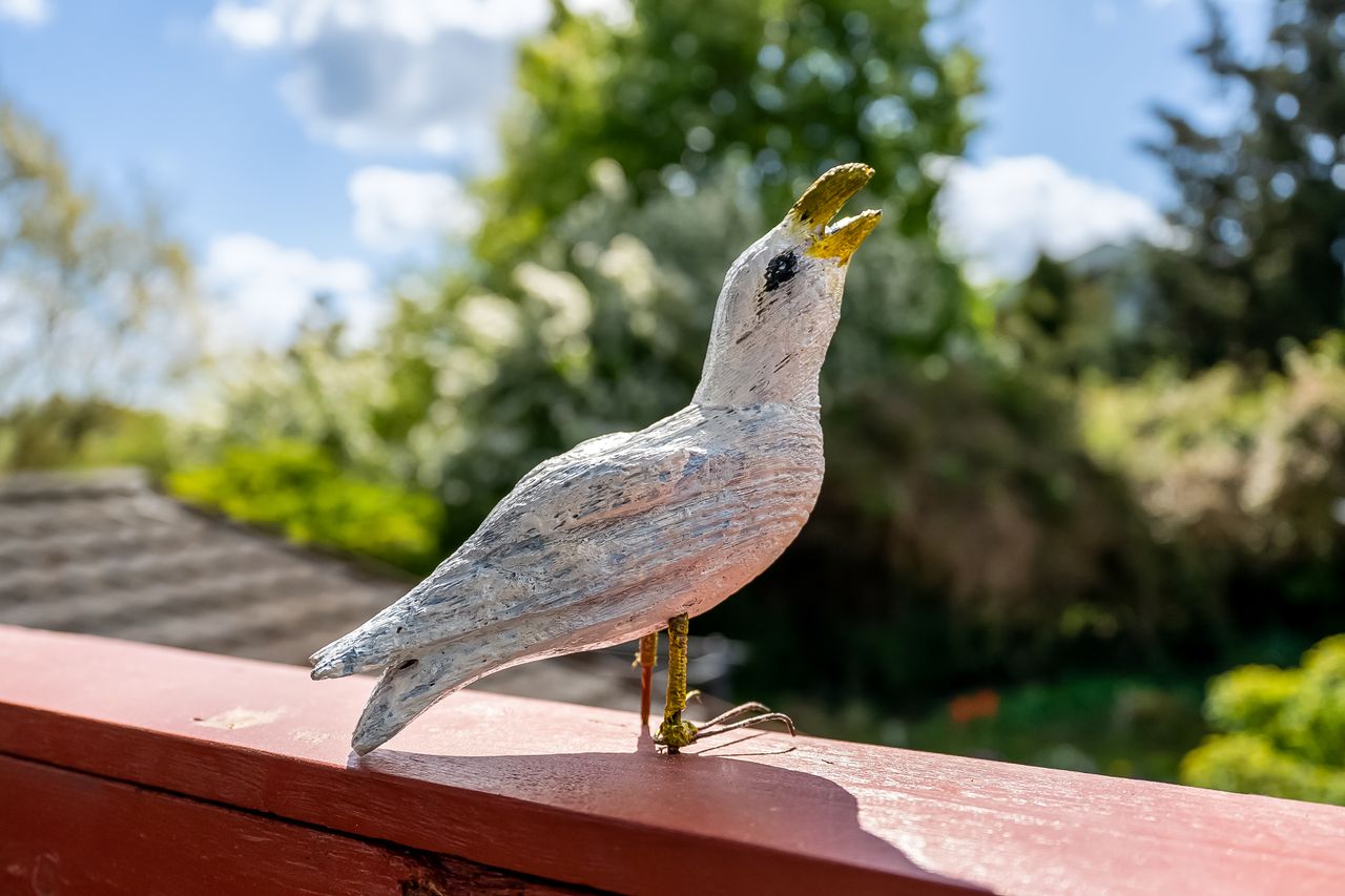 image 04